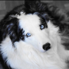 Photo de Ghost Sweet Ghost