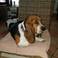 Photo de profil de mia grangeon