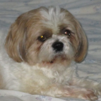 Photo de profil de Vénus