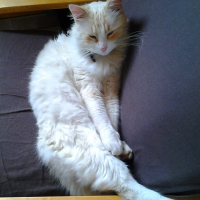 Photo de profil de willy