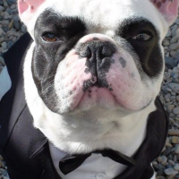 Photo de profil de Clovis