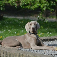 Photo de profil de Ixper