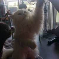 Photo de profil de kenzo