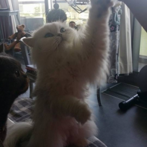 Photo de profil de kenzo