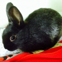 Photo de profil de Lucy 