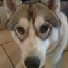 Photo de Zeus