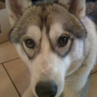 Photo de profil de Zeus