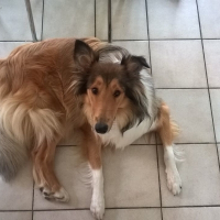 Photo de profil de Canelle