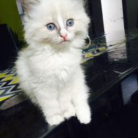 Photo de profil de Pêche 