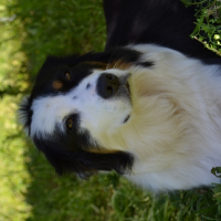Photo de profil de Hâpy