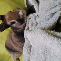 Photo de profil de Praline 