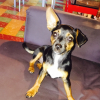 Photo de profil de Kenza 