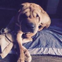 Photo de profil de Lila