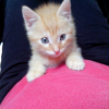 Photo de titou