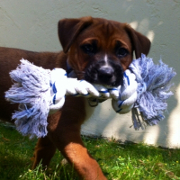 Photo de profil de Shana