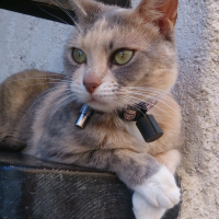 Photo de profil de cachou