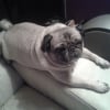 Photo de lizie