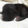 Photo de gribouille