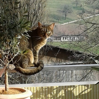Photo de profil de Lili