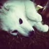 Photo de Liberty