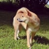 Photo de Jelly