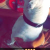 Photo de Enya 