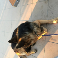 Photo de profil de Ghost