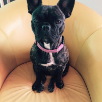 Photo de profil de Ikawa