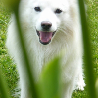 Photo de profil de Végas