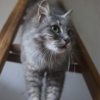 Photo de profil de Mirella