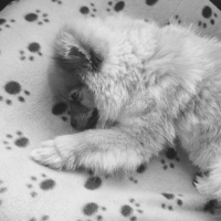Photo de profil de Max