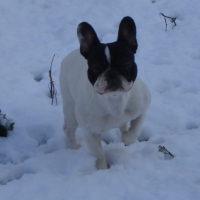 Photo de profil de Easy