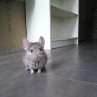 Photo de profil de Ben