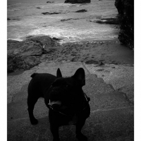 Photo de profil de diapo