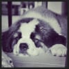 Photo de Berny
