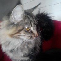 Photo de profil de Jilou