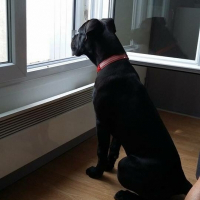 Photo de profil de Nikita 