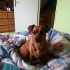 Photo de Prada