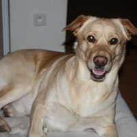 Photo de profil de Kinsgton