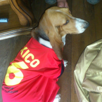 Photo de profil de rocco 