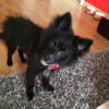 Photo de Kira