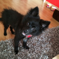 Photo de profil de Kira