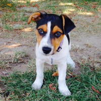 Photo de profil de Maya