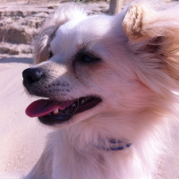 Photo de profil de gucci