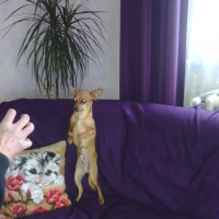 Photo de profil de KOOKI