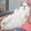 Photo de POUPEE