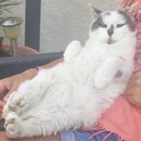 Photo de profil de POUPEE