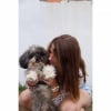 Photo de Pirate , Bichon Bolonais