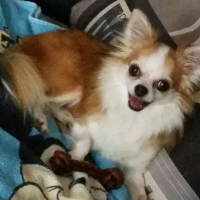 Photo de profil de Gaufrette 