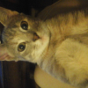 Photo de Tâche